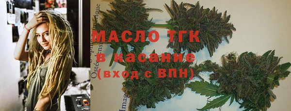 крисы Няндома