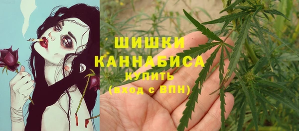крисы Няндома