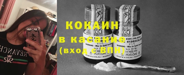 крисы Няндома