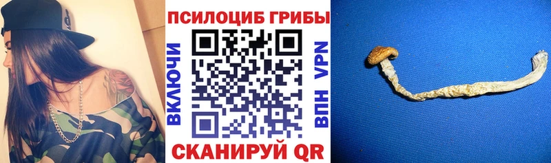 Псилоцибиновые грибы прущие грибы  omg ССЫЛКА  Олонец 