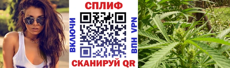 где найти Олонец Бошки марихуана OG Kush